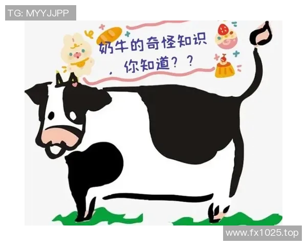 你不知道的公牛：十大冷知识大揭秘